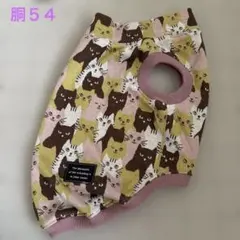 Item thumbnail for item b7c145af-ae6e-4817-8e3b-dabf93ccbd35