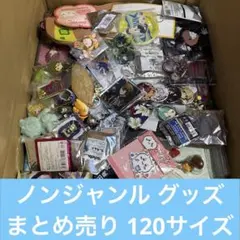 ノンジャンル グッズ アニメ など まとめ売り 120サイズ