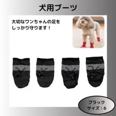 Item thumbnail for item 6674b5cb-e01b-4ebb-9b38-3e4b4a152456