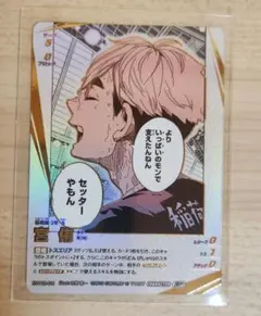 ハイキュー バボカ 頂P 宮侑