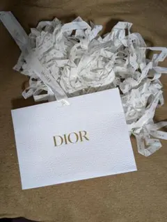Dior ホワイトレザー調紙袋