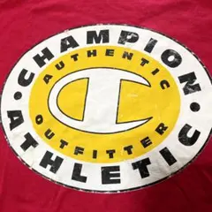 チャンピオン ヴィンテージ 古着 Tシャツ　ダメージ加工 USA us古着