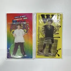 2026年最新】神山智洋 アクスタの人気アイテム - メルカリ