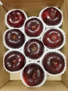 えこちゃん様専用ページ　ブラックりんご　黒！専用出品