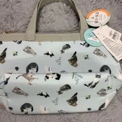 Item thumbnail for item b78164cc-e747-4950-b37a-7d03d349944b