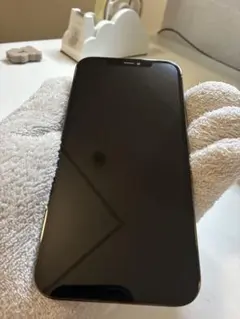 iPhone12 Pro Max 話の早い方お値下げ可 - メルカリ