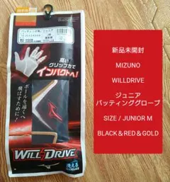 Item thumbnail for item 4026e654-572e-4cbd-847a-cac082fd27e4