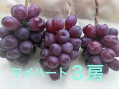 山梨県産 訳あり 家庭用 ぶどう マイハート 5房 箱込み2.4kg ① - メルカリ