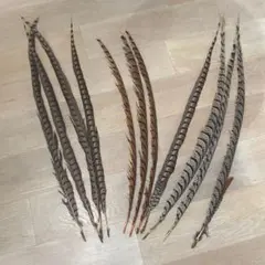 天然羽根 ロング 11本 ゼブラ 花材 手芸 クラフト フライ