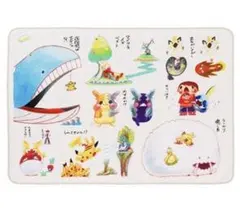 Pokémon ポケモン ブランケット 「…じゃない」ポケモンたち　レア✨