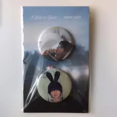 Item thumbnail for item 5de29254-1bc1-48b6-9c08-5a88fe073af3