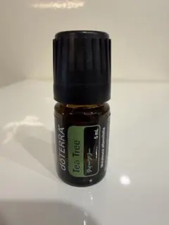 専用　ドテラ　ティーツリー　15ml 3本 doTERRA ドテラ ティーツリー 15mL 新品 未開封 - メルカリ