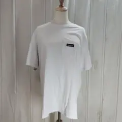 KK032010 Patagonia / Tシャツ