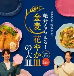 2026 SUNTORY 金麦花やか皿 大皿3枚 96本分 応募券シリアルコード
