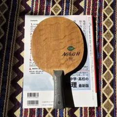 Item thumbnail for item 605648d8-5a48-4777-9325-78d2fa761e2e