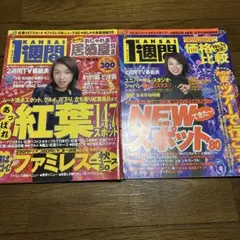 Item thumbnail for item 06470c68-5e30-46a6-8769-a53ec8c1cb9f