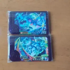 ポケモンフレンダ テラパゴス 2枚セット