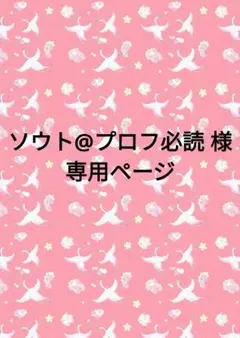 ソウト@プロフ必読 様専用ページ
