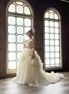 Vera Wang ヴェラウォン　ヘイリー　ウェディングドレス　US4のサムネイル