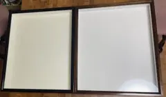 2026年最新】昆虫標本箱の人気アイテム - メルカリ