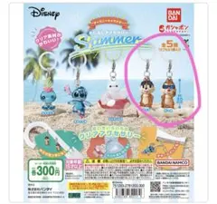 ディズニー　めじるしアクセサリー　チップ•デール