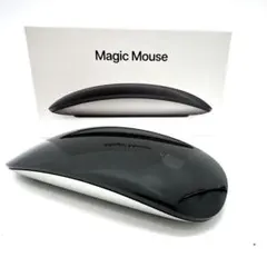 美品 Magic Mouse2 ブラック 本体 箱付き