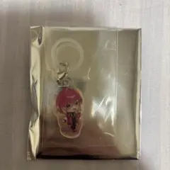 STPR familyランダムオーロラチャーム めておら みかさくん