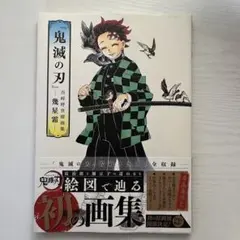鬼滅の刃 吾峠呼世晴画集 幾星霜 イラスト集 公式画集 鬼滅ノ刃