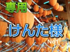 ☆専用けんた様No1【農直】秀品《福島産：伊達》あんぽ柿(トレー4個×3袋)