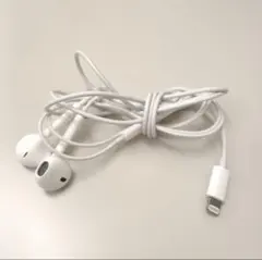 Apple 純正 Lightningケーブルイヤフォン　イヤホン