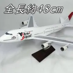 模型】JAL スーパーリゾートエクスプレス 沖縄 特別塗装 - メルカリ