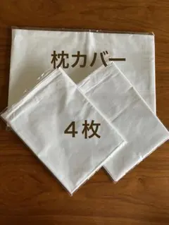 Item thumbnail for item 193c8993-5320-4f8b-85dc-0ca6816a860c