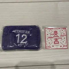 INI カプセルトイ 許豊凡 フェンファン 2点セット