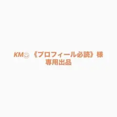 KM◡̈⃝ 《プロフィール必読》様専用ページ シール4枚セット