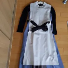 Item thumbnail for item 89fbdb1c-65cf-455f-856f-56442c3feae0