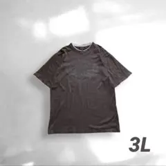 オーバーサイズ プリントT メンズ 3L ストリート カジュアル Y2K