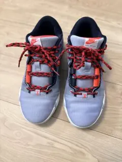 バッシュ バスケットボール