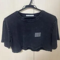 人気】AlexanderWang⭐︎クロップドTシャツXSサイズ黒ウォッシュ加工