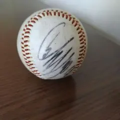 Item thumbnail for item a3bb87c2-a27a-46f1-9e36-5cc70e024005