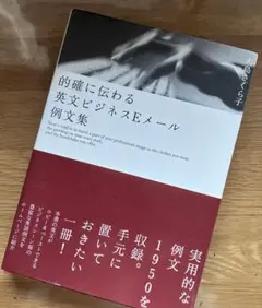 【未使用‼️】的確に伝わる英文ビジネスEメール例文集　メール　例文　英語　仕事