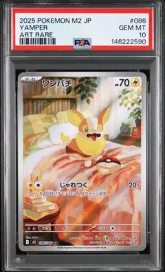 PSA10】ジュゴン ／ ランプラー ／ ワンパチ セット売り