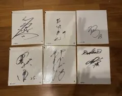 2026年最新】つば九郎 サイン入りの人気アイテム - メルカリ