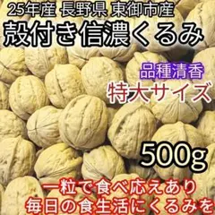 【特大粒 特別価格 10%増量セール 】国産 殻付きくるみ 健康食品 500g