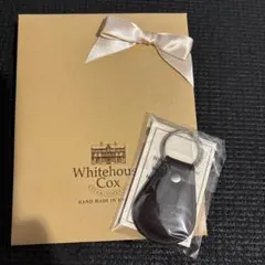 Item thumbnail for item 41ac6989-4679-4599-b3bf-fda3a3cf7a4c