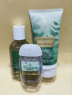 廃盤品 新品 資生堂 Do&Be 薬用パウダースプレー マリンの香り 4本