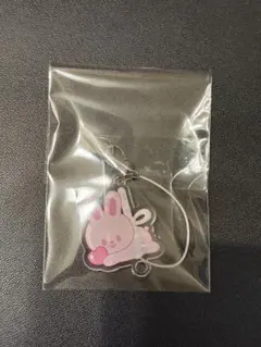 straykids リービット 入場特典