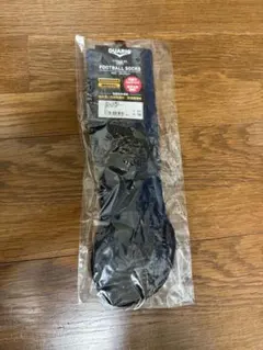 Item thumbnail for item d722e6f4-04a6-433c-ba8f-5df1e7969c62