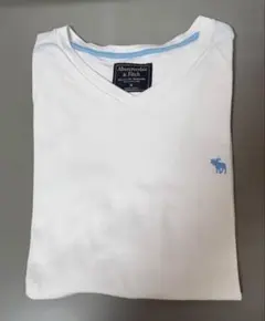 ◆アバクロ　ワンポイントVネックTシャツ　白　日本L相当