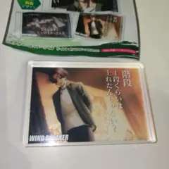 WIND BREAKER ウィンブレ アクリルブロック 蘇枋隼飛