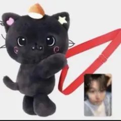 nct wish リク クリ wish doll ぬいぐるみバッグ トレカあり - メルカリ